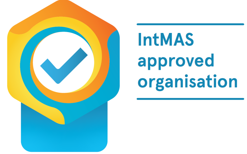 Driving Interoperability in the Energy System Forward: Launch of IntMAS